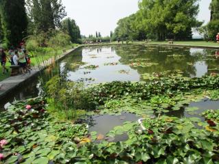 Il Parco giardino Sigurtà è un parco naturalistico di 60 ettari situato a Valeggio sul Mincio, in provincia di Verona, a 8 km da Peschiera del Garda_6